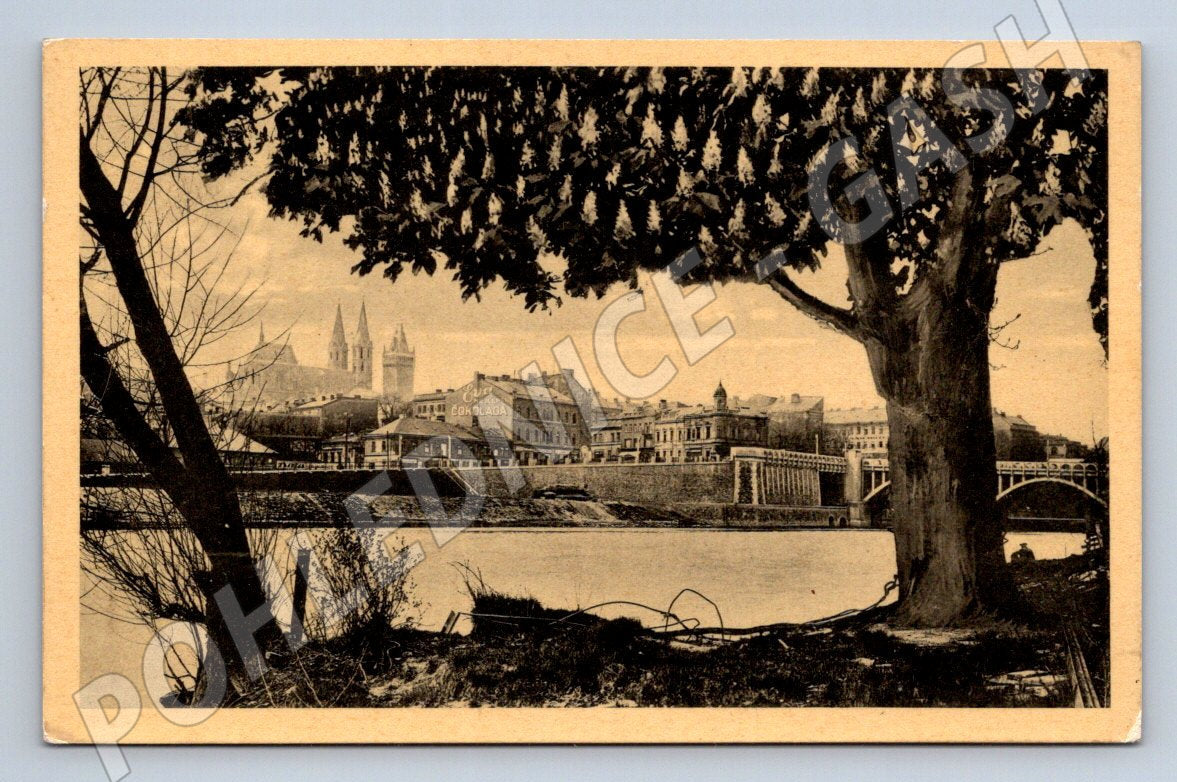 Postcard Cologne panorama 1930 (ST3850)