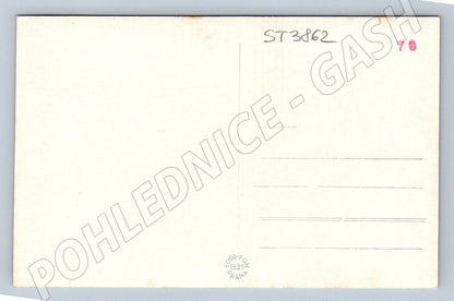 Postcard Janské Lázně Giant Mountains historical (ST3862)