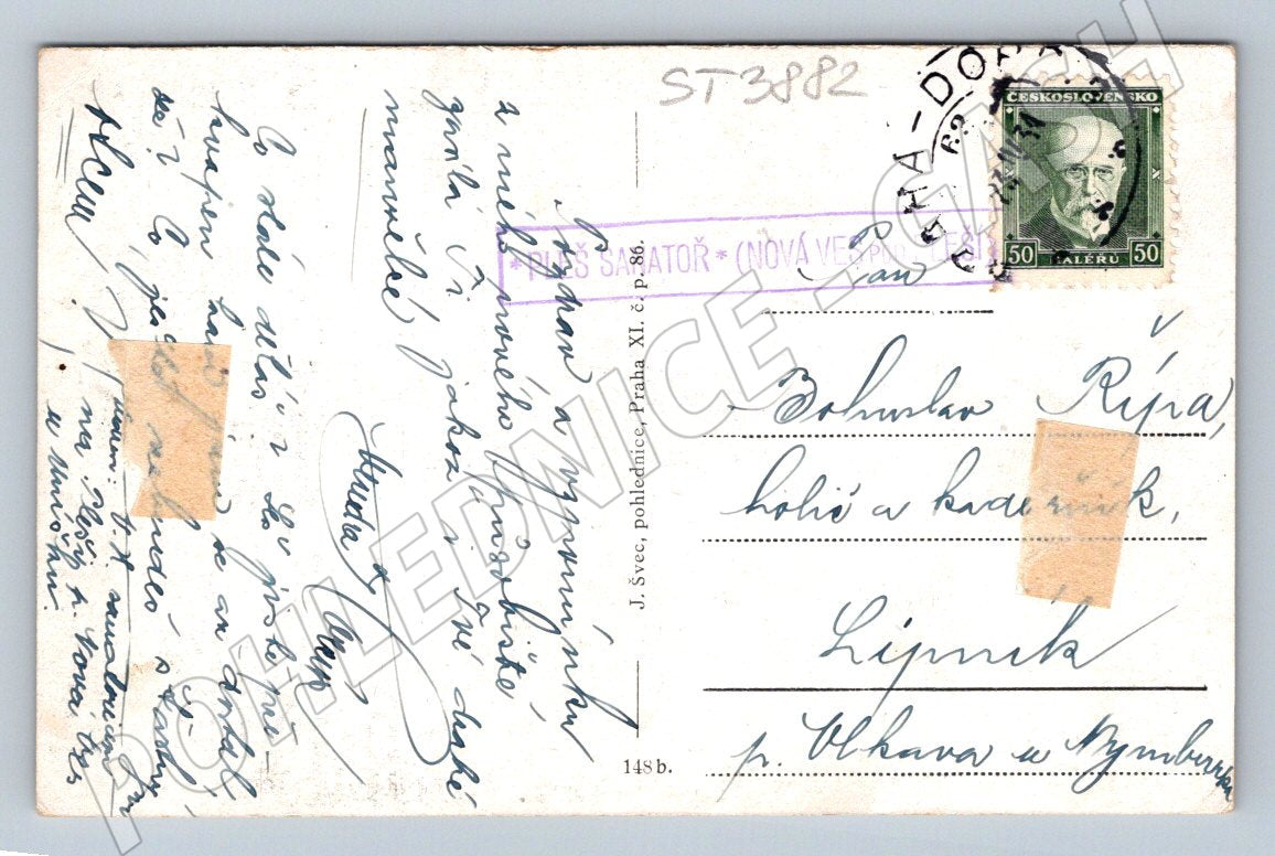 Historical postcard of the Sanatorium in Pleš (ST3882)