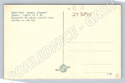Postcard Forest Hotel Čeperka Nouzov (ST3895)