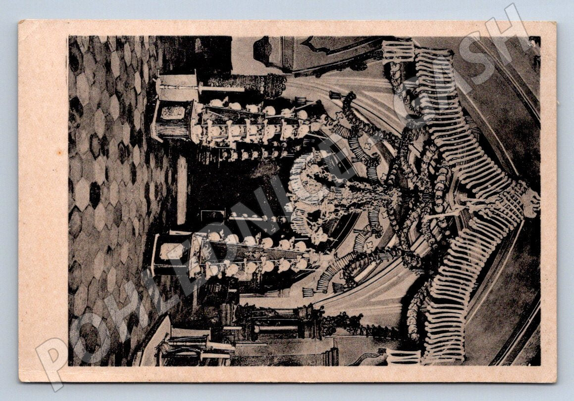 Postcard Sedlec Historical Ossuary (ST3936)
