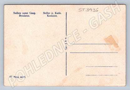 Postcard Sedlec Historical Ossuary (ST3936)