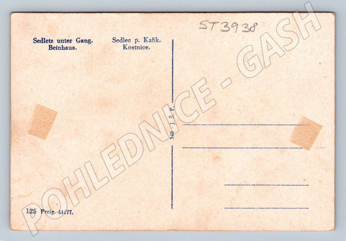 Postcard Sedlec Ossuary old postcard (ST3938)