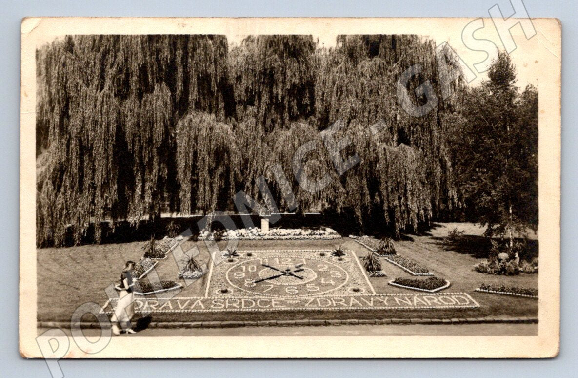 Postcard Poděbrady flower clock Czechoslovakia (ST3972)