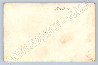 Postcard Polánka Cottage Nové Hrady (ST4032)