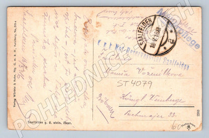 Pohlednice Saalfelden panorama 1915 (ST4079)