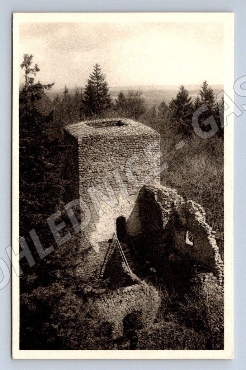 Postcard Choustník castle ruins (ST4111)