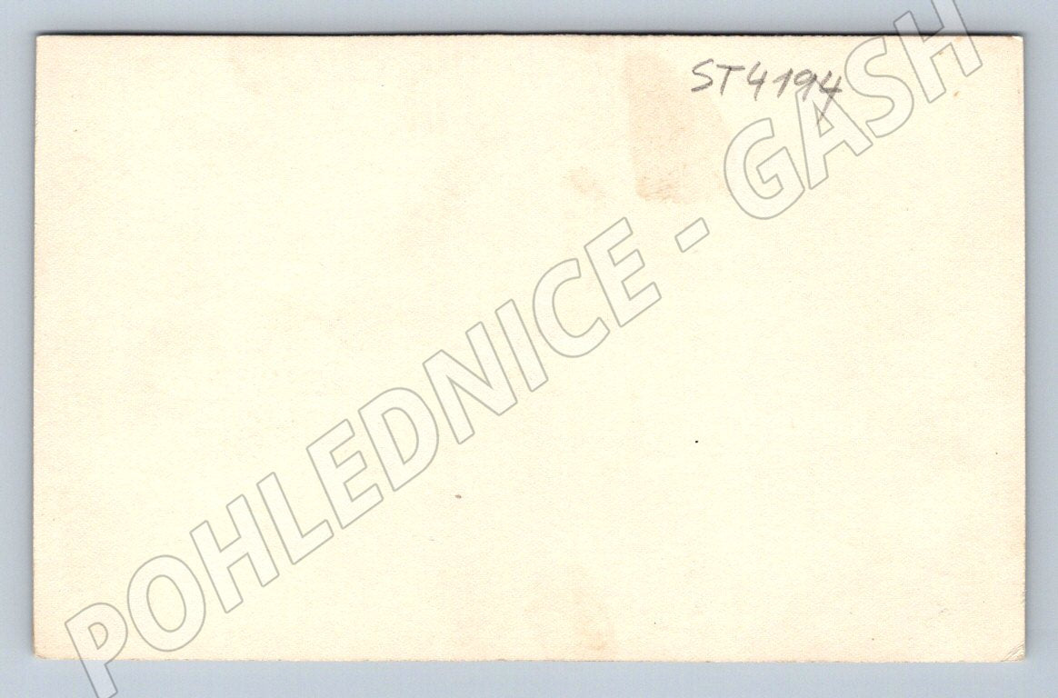 Postcard family house historical (ST4194)