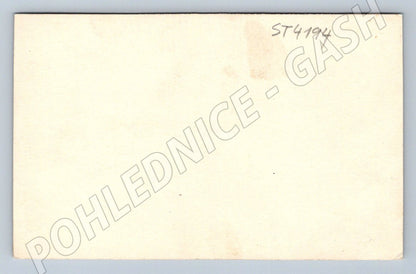 Postcard family house historical (ST4194)