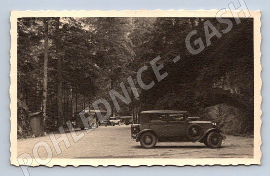 Pohlednice automobily na lesní silnici (ST4233)