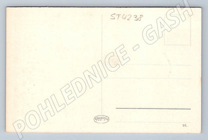 Postcard Karlovy Vary Market Square (ST4238)