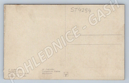 Postcard Vintage F Leffler sepia (ST4254)