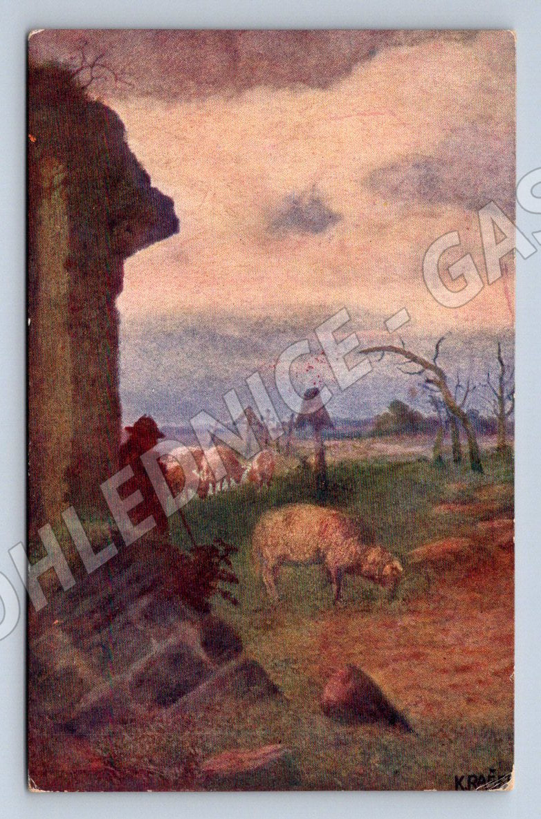 Postcard Calm After the Storm Rašek Helvetia (ST4257)