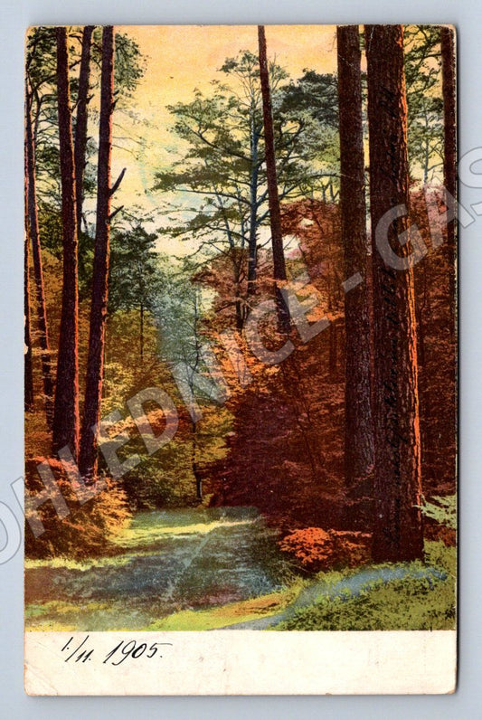 Postcard Prague forest motif 1905 (ST4267)