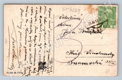 Pohlednice ovčák a stádo ovcí 1913 (ST4269)