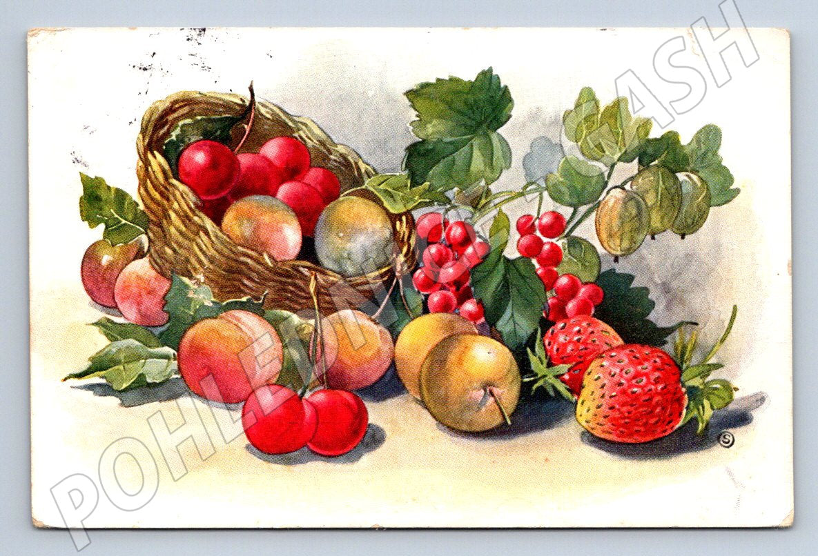Postcard fruit in a basket Slovakia (ST4270)