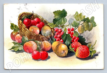 Postcard fruit in a basket Slovakia (ST4270)