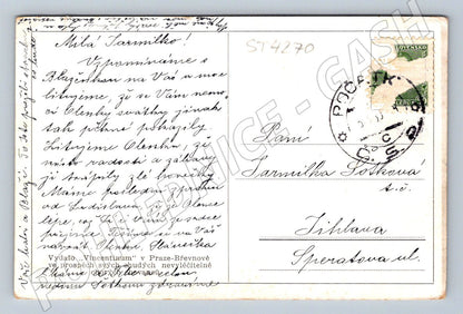 Postcard fruit in a basket Slovakia (ST4270)