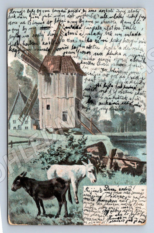 Pohlednice kůň a větrný mlýn historická (ST4273)