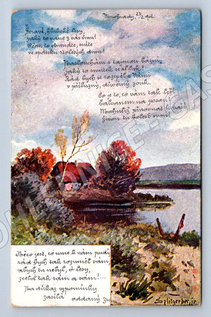 Postcard Pillig Czech landscape 1902 (ST4275)