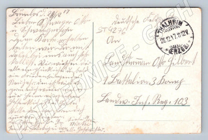 Postcard New Year's Winter Landscape 1917 (ST4276)