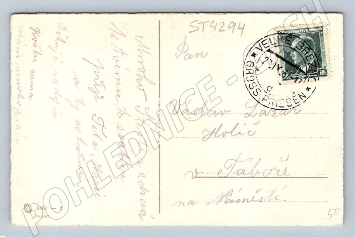 Postcard girl with flower Germany (ST4294)