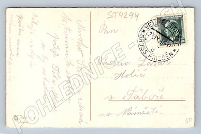 Postcard girl with flower Germany (ST4294)