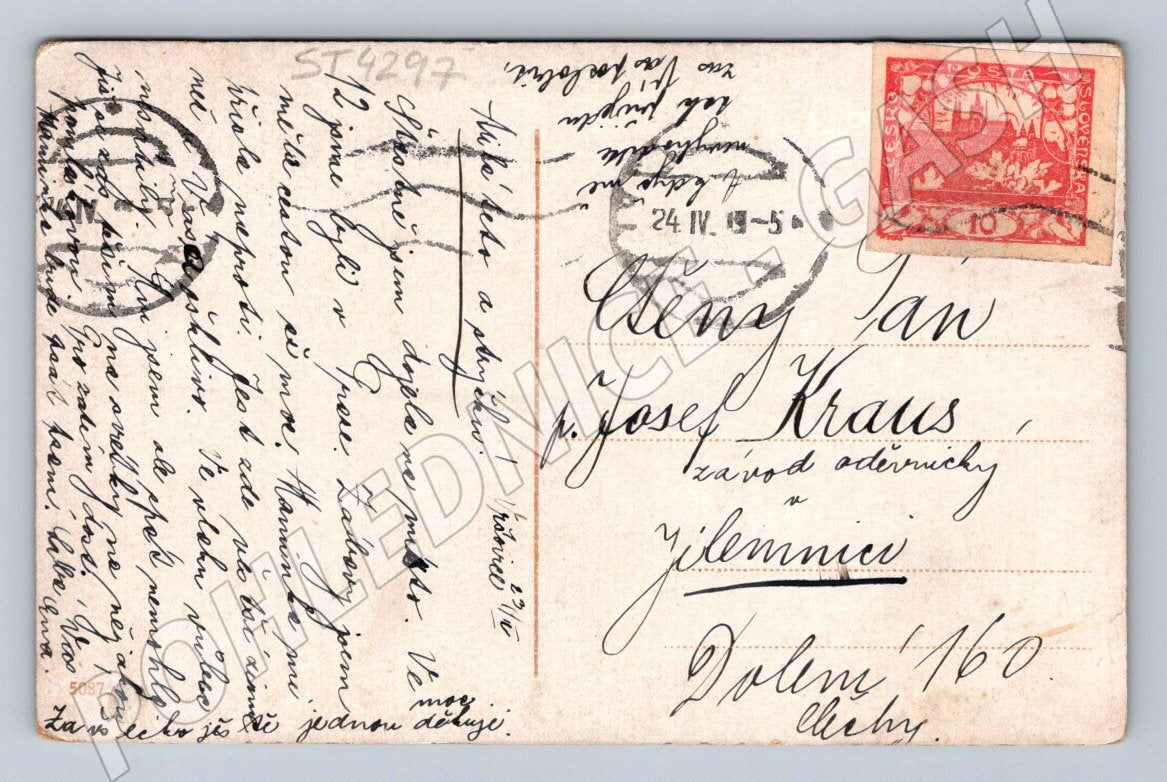 Postcard girl and rose 1921 (ST4297)