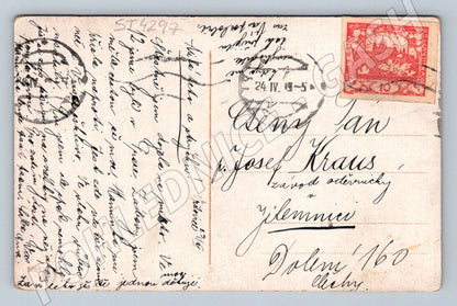 Postcard girl and rose 1921 (ST4297)