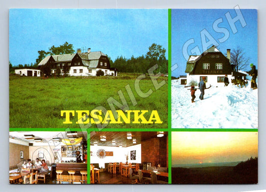 Pohlednice Tesanka Janov n/Nisou chata koláž 1985 (TP2002)