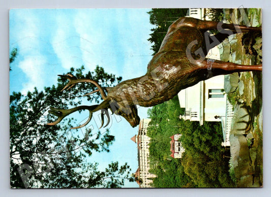Pohlednice Karlovy Vary jelení socha Richmond 1975 (TP2041)