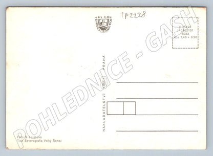 Pohlednice Bílina různé pohledy (TP2228)