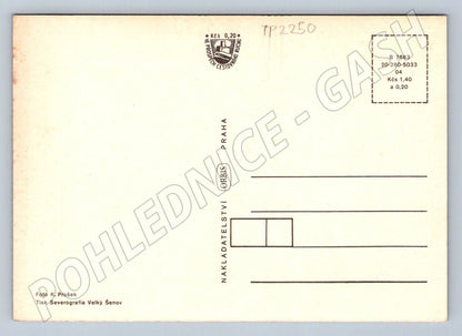 Pohlednice Duchcov různé pohledy (TP2250)