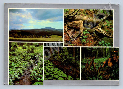 Pohlednice Boubínský prales krajina 1989 (TP2264)