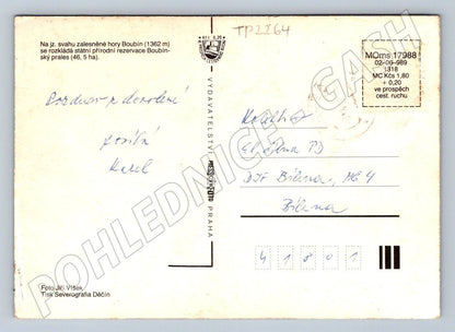 Pohlednice Boubínský prales krajina 1989 (TP2264)