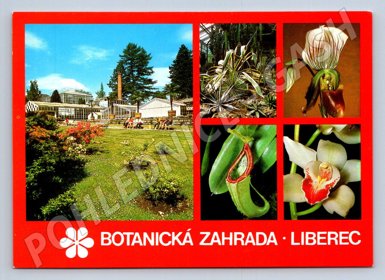 Pohlednice Liberec Botanická zahrada (TP2312)