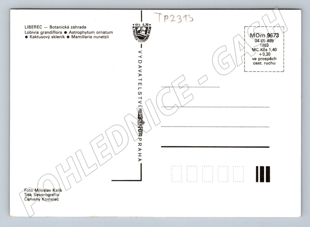 Pohlednice Liberec Botanická zahrada květy kaktusů (TP2313)
