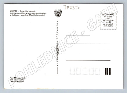 Pohlednice Liberec Botanická zahrada květy kaktusů (TP2313)