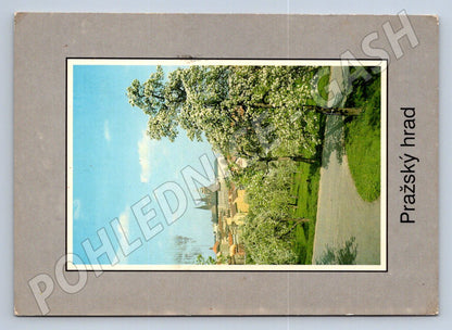 Pohlednice Pražský hrad s kvetoucími stromy 1990 (TP2331)