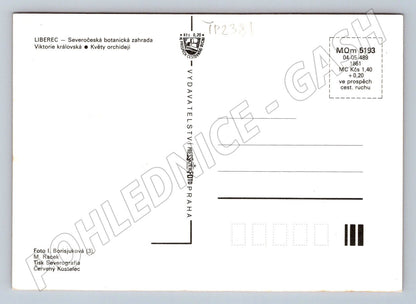Pohlednice Liberec Botanická zahrada rostliny a květiny (TP2381)