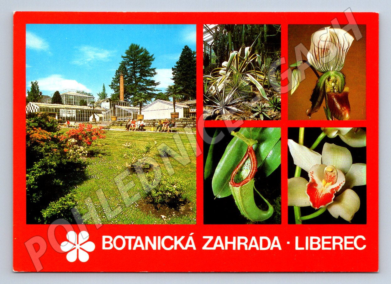Pohlednice Liberec Botanická zahrada (TP2382)