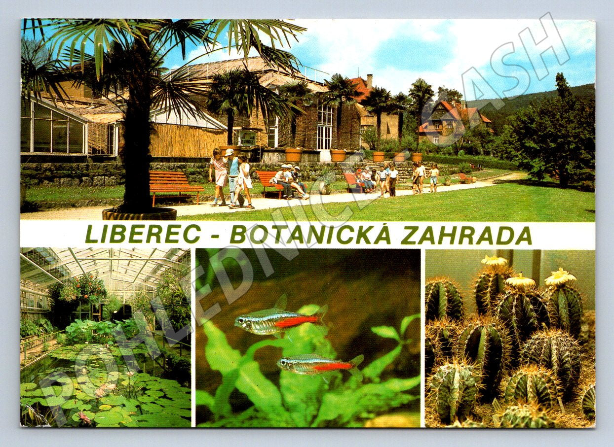 Pohlednice Liberec Botanická zahrada (TP2383)