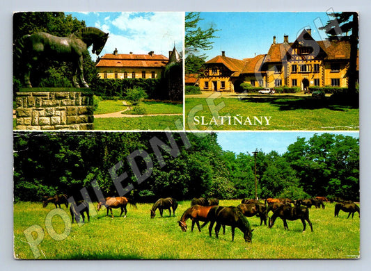 Pohlednice Slatiny zámek socha koně koně pastva (TP2393)