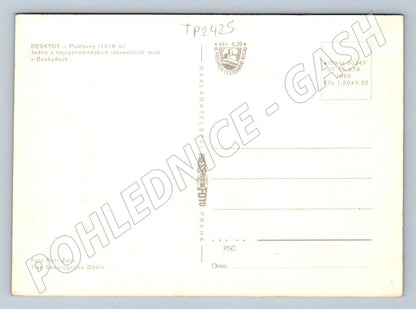 Pohlednice Beskydy Pustevny ovce 1979 (TP2425)