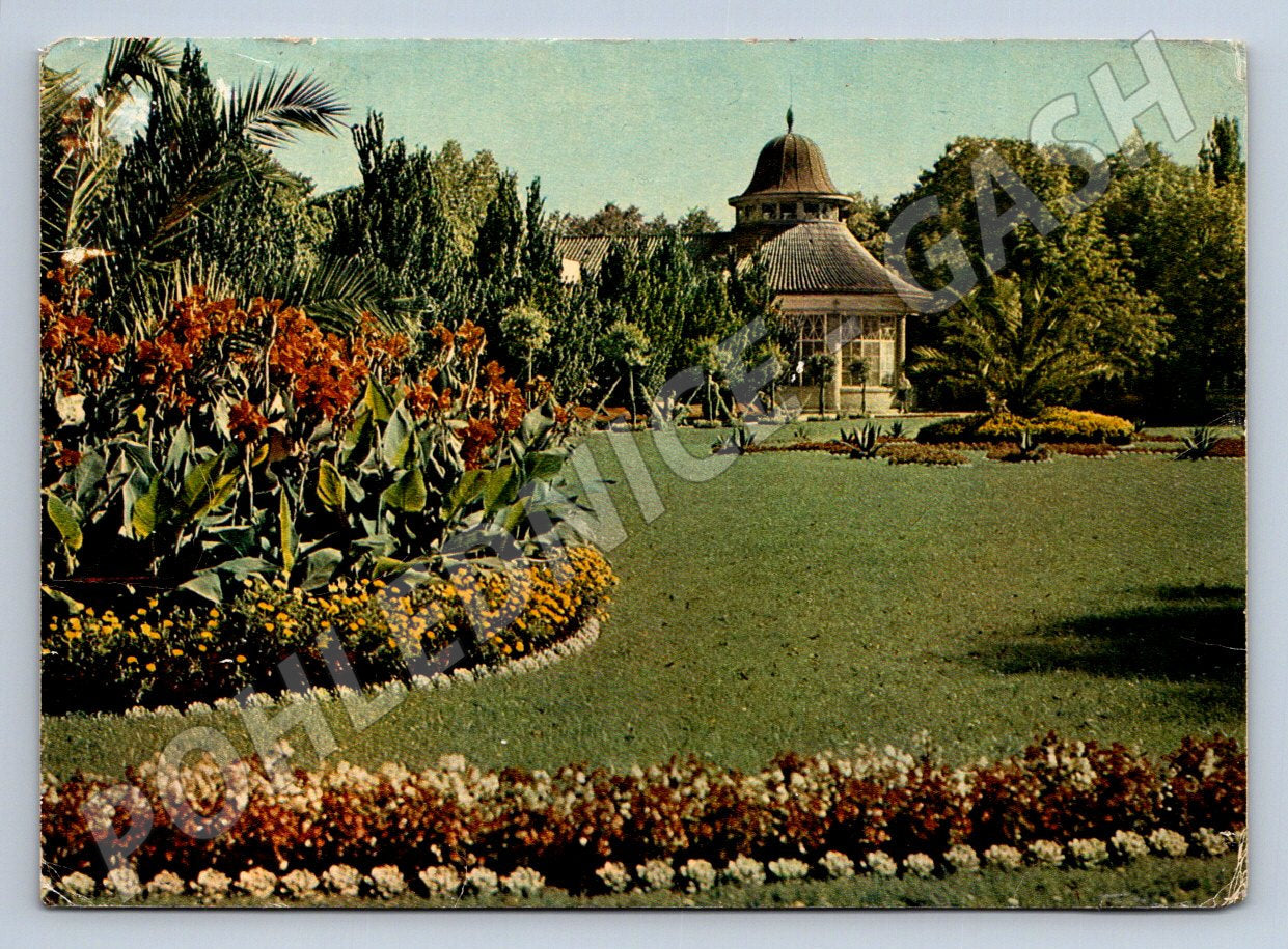 Pohlednice Poděbrady Hudební pavilon 1967 (TP2513)