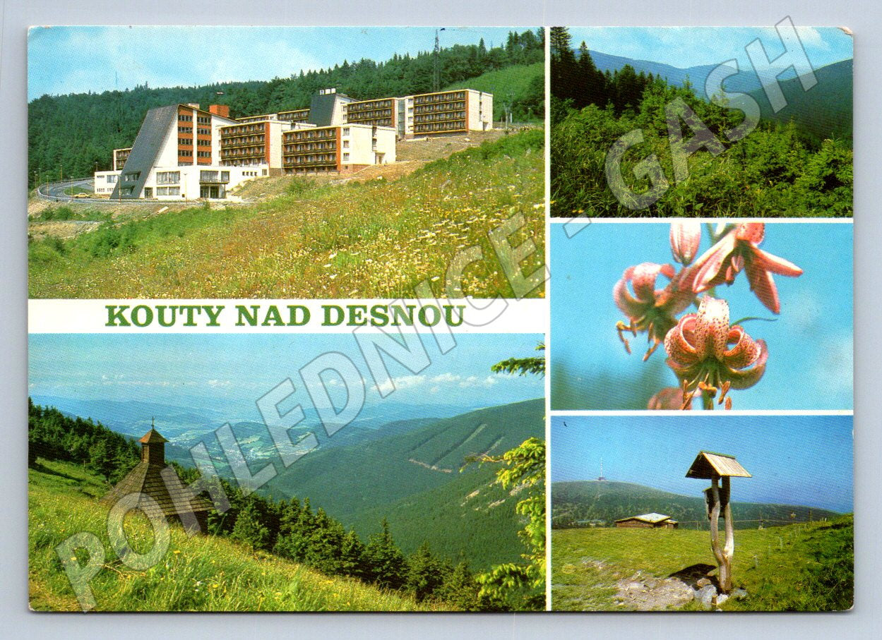 Pohlednice Kouty nad Desnou Jeseníky resort 1989 (TP2517)