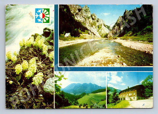 Pohlednice Slovensko Malá Fatra Vrátňanka 1961 (TP2523)